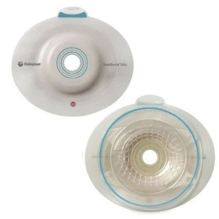 carewell-295280