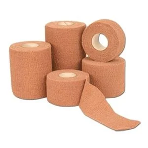 carewell-302427