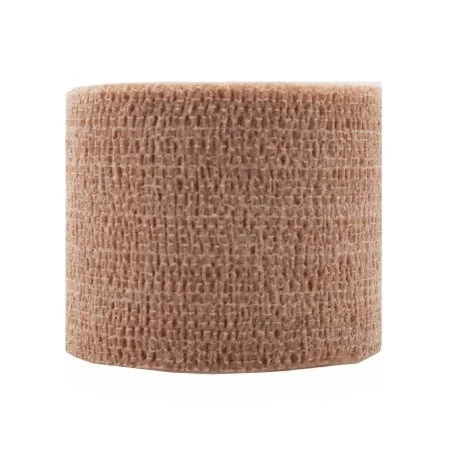 carewell-302439