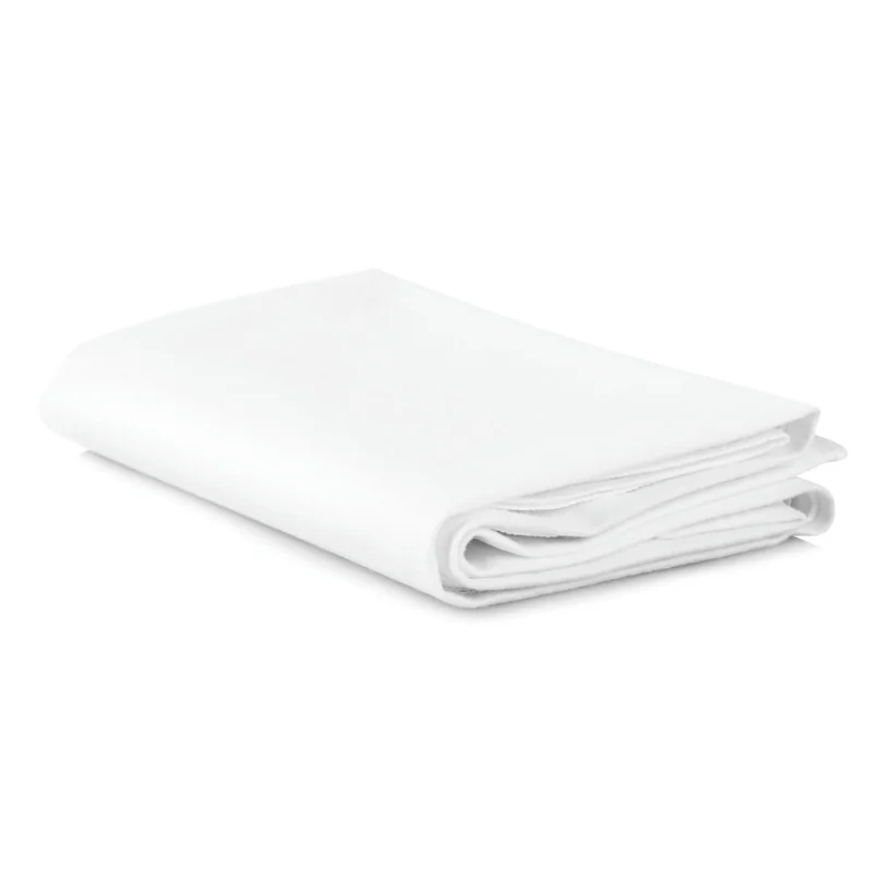 carewell-313095