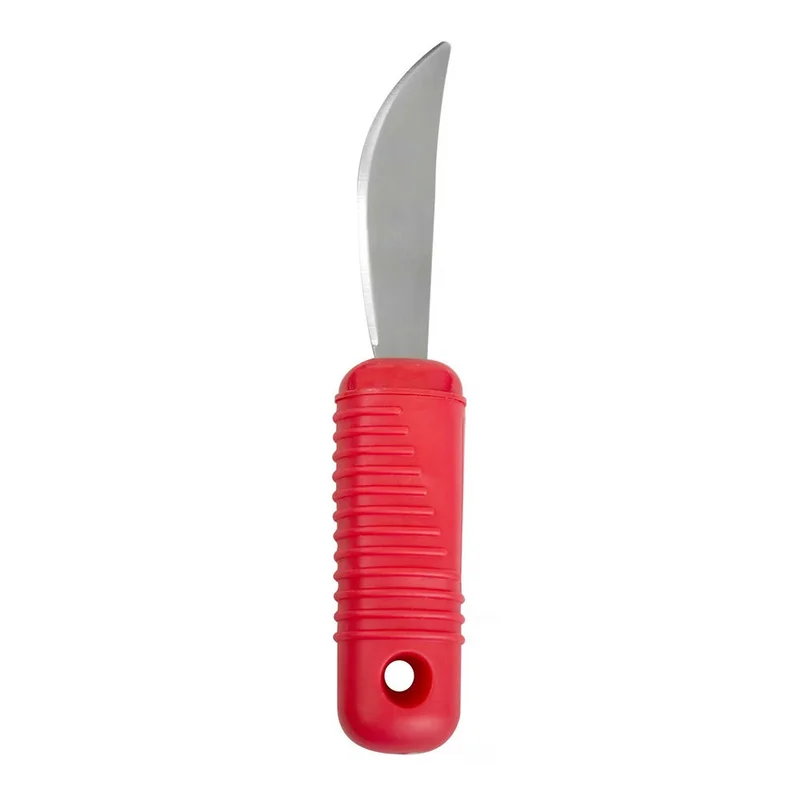 carewell-313402