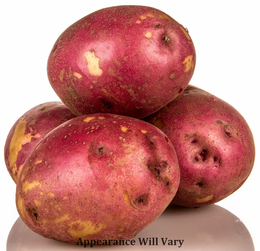 mannaharvest378601