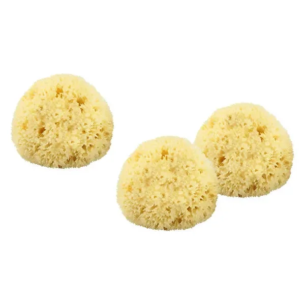 pasteurpharmacy1512394