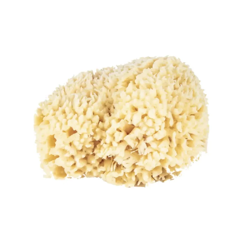 pasteurpharmacy1605851
