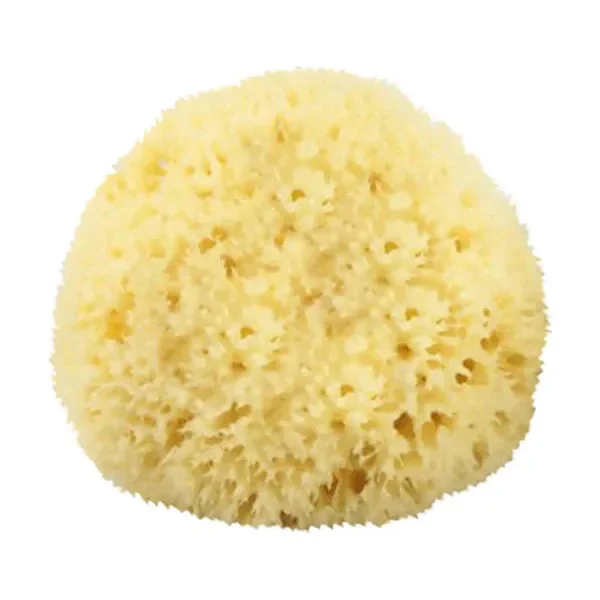 pasteurpharmacy1605859