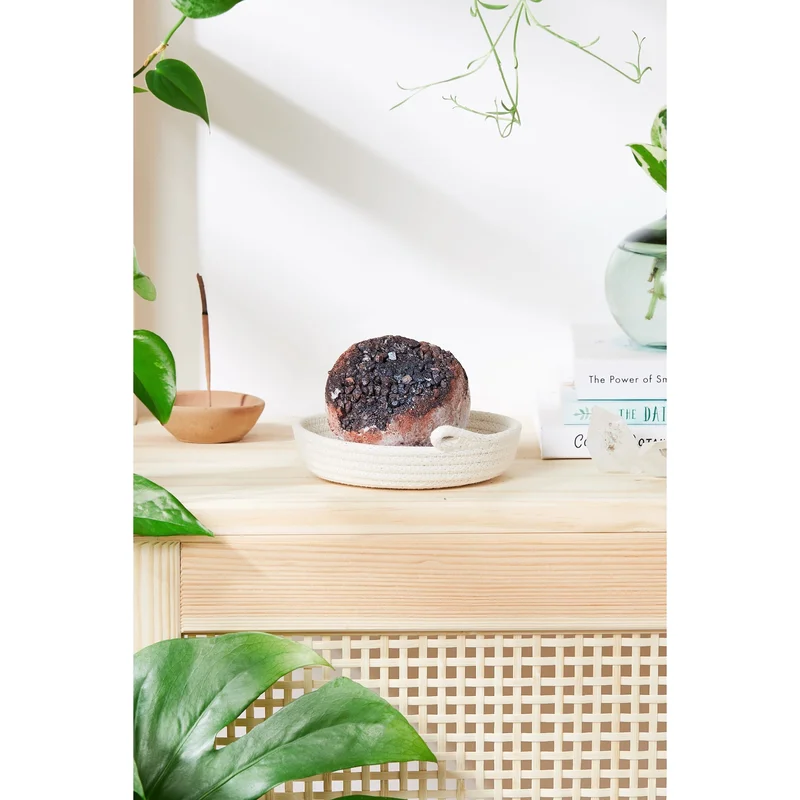 pasteurpharmacy2615264