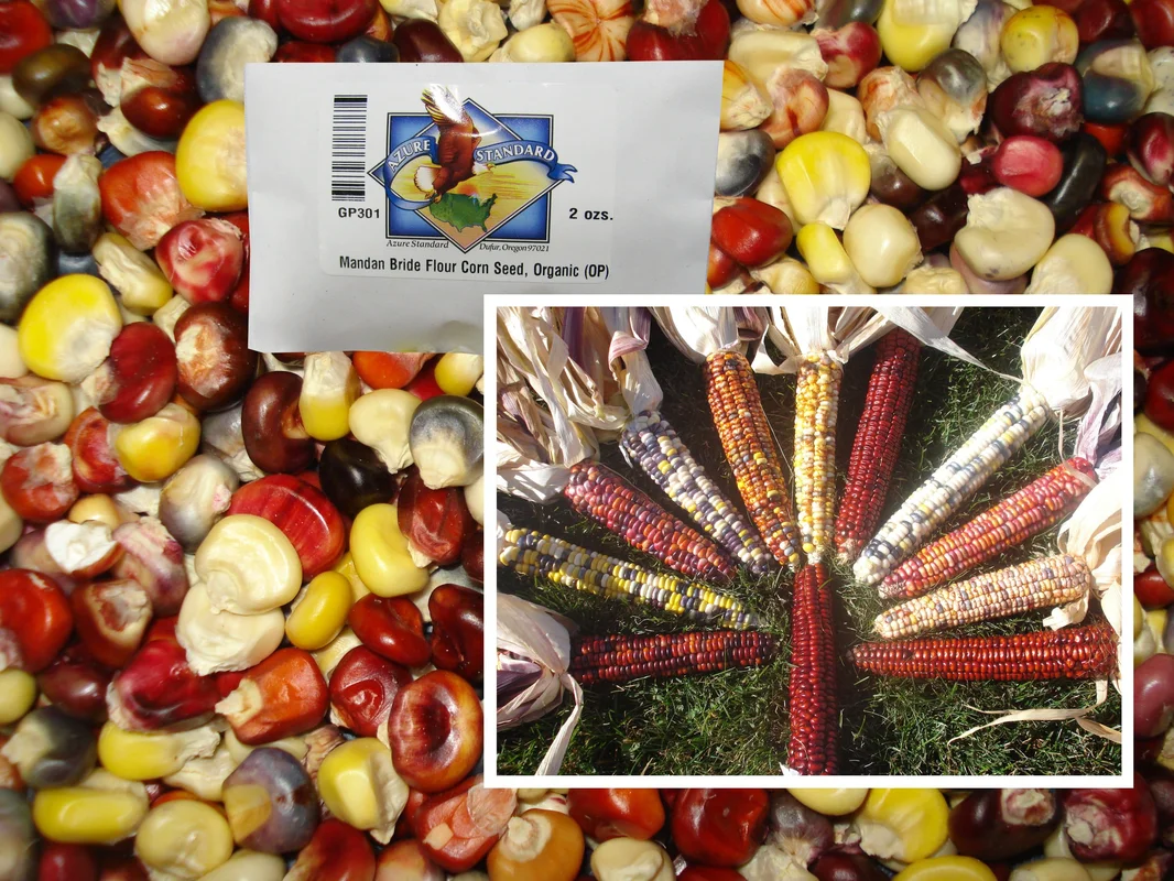 truefoodsmarket1373254