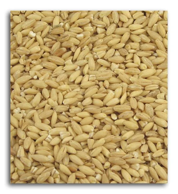 truefoodsmarket1381522