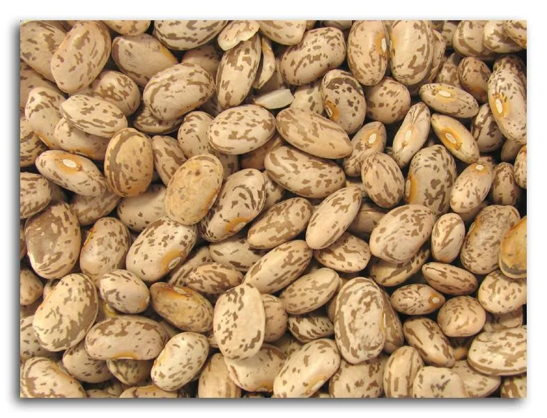 truefoodsmarket1384186