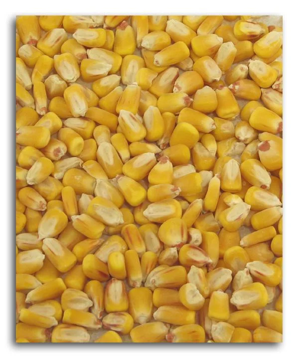truefoodsmarket1385665
