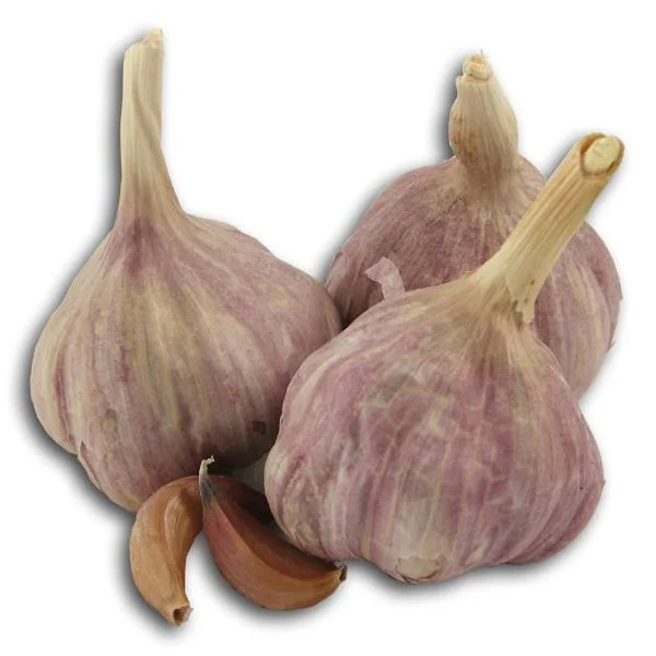 truefoodsmarket1399803