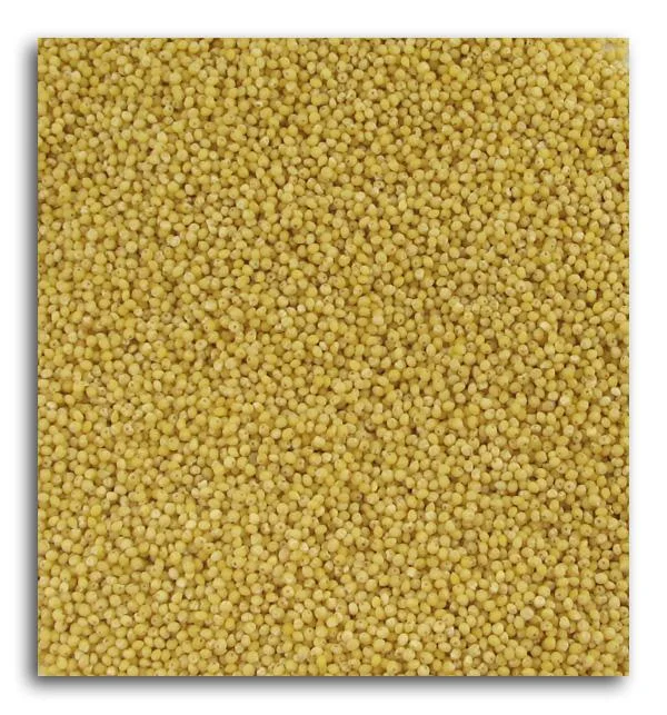 truefoodsmarket1407657