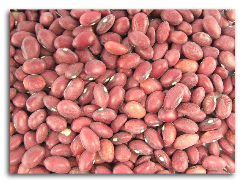 truefoodsmarket1418824
