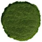 truefoodsmarket2410637