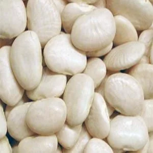 truefoodsmarket2441083