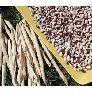 truefoodsmarket2444707
