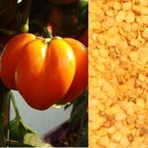 truefoodsmarket2444741
