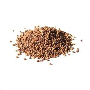 truefoodsmarket2445137