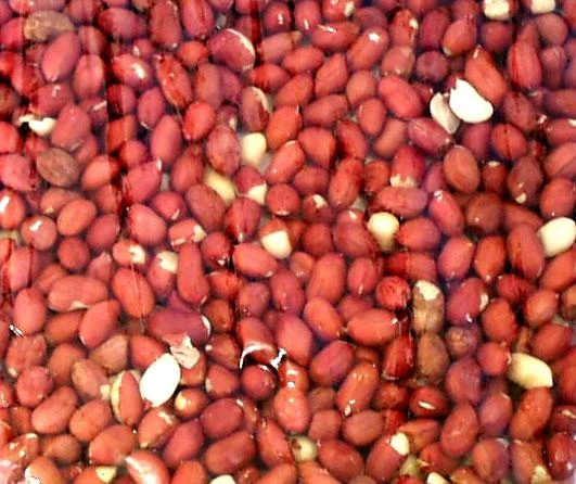 truefoodsmarket2479795