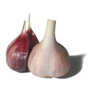 truefoodsmarket2481751