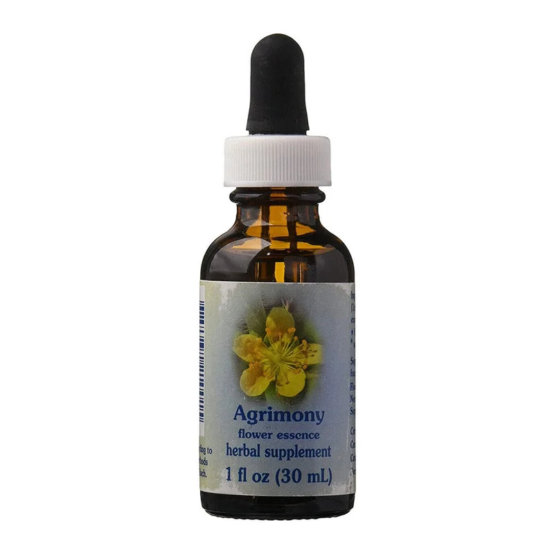 wellnessbetter1463147