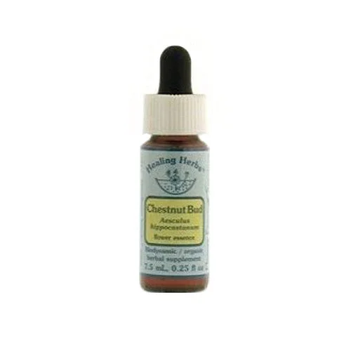 wellnessbetter1465042