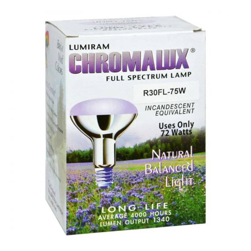 wellnessbetter1553100