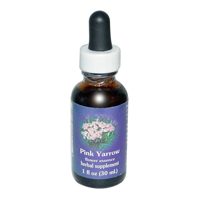 wellnessbetter2370240