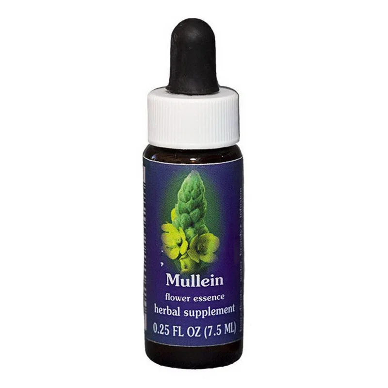 wellnessbetter2398880