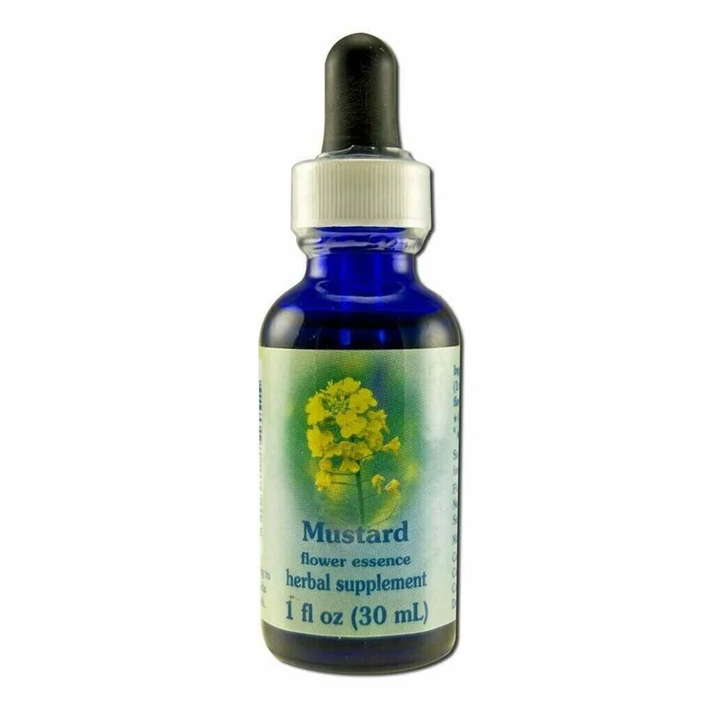 wellnessbetter2398971