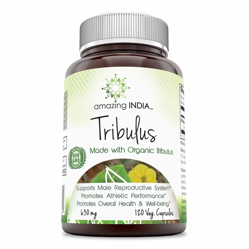 wellnessbetter2419414