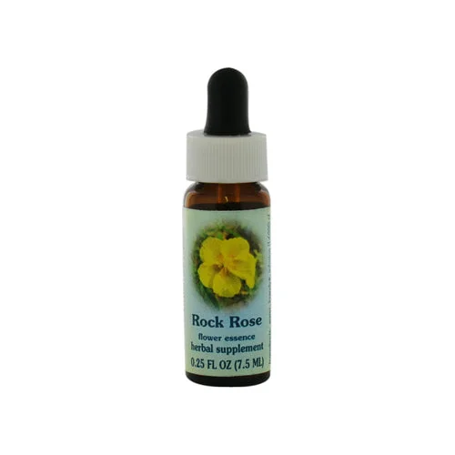 wellnessbetter3428342