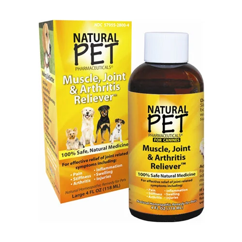 wellnessbetter3446845