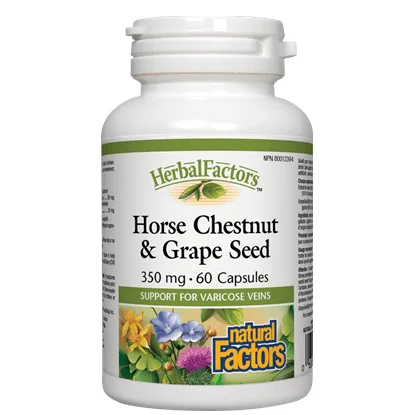 yeswellness1380606